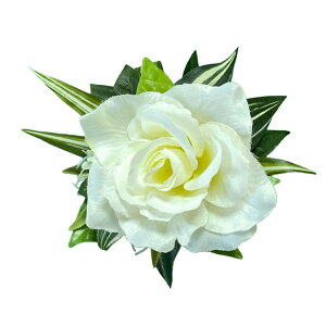 t_X  [Y nCA ANZT wANbv  nCAG gsJG wA[ANZT[ tK[ ߑ   p t[ 