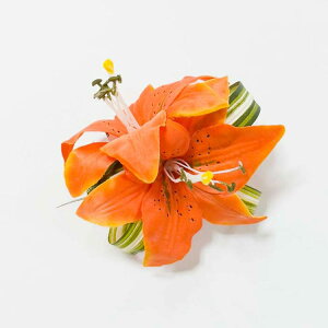 t_X  nCA ANZT wANbv  [ IW  nCAG gsJG wA[ANZT[ tK[ ߑ   p 