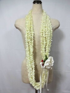 t_X C sJP OC 5A i155cmj^ 11300001 AC{[