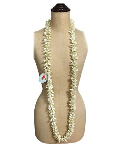 t_X C WX~ OC i155cmj^ 11100121 AC{[