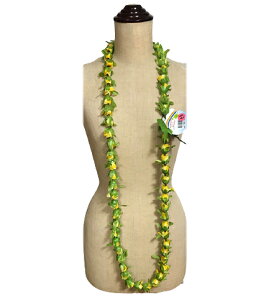 _Ԓ|Cg2{^t_X C [Yobh OC i155cmj^ 11100202 CG[