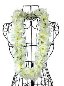 t_X C j[ I[Lbh _u V[gC i105cmj^ 10200008