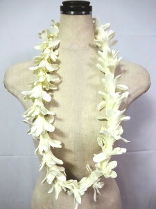 t_Xߏ t_X C ACh `[u[Y V[gC i105cmj^ 10100832 N[