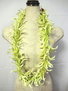 t_Xߏ t_X C XpC_[ C V[gC i105cmj^ 10100848 O[ green XpC_[B XpC_[[