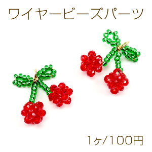 C[r[Yp[c eOXr[YJ{V ڃr[Y r[YfRp[c  16×20mmi1j