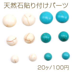 VRΓ\tp[c ی` Eh ~ ^[RCY J{V fRp[c \tp[c S6i20j