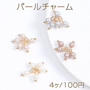 C[p[`[ 5Aۋ 4mm S[hi4j