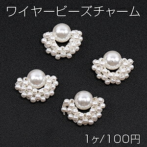 C[r[Y`[ 14×17.5mmi1j