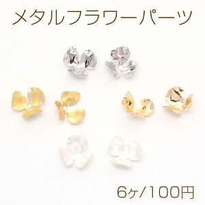 ^t[p[c r[YLbv ԍ  Oى Sʂ 12mmi6j