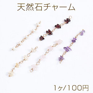 C[VR΃`[ C[Wp[`[ sK^ S[hi1j