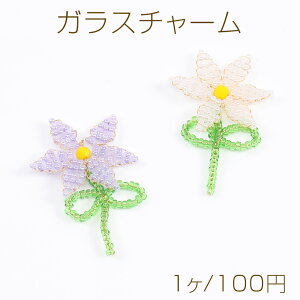 C[r[Yt[`[ t[`[ 26×45mm S[hi1j