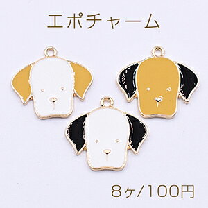 G|`[@@ꎨ@20x21mm@@S[h@S3@y8z