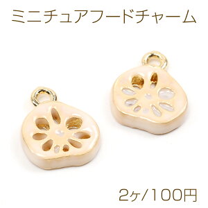 ~j`At[h`[ ^ HiTv`[ tFCNt[h`[ @ 1Jt S[h 10×12mmi2j