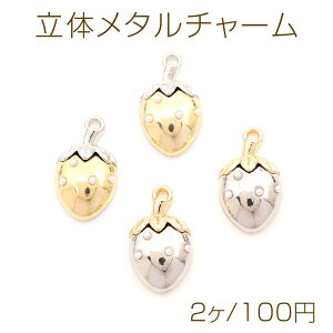 ̃^`[ ^`[ `[t w^ \ʃp[ 1Jt 10×18mm