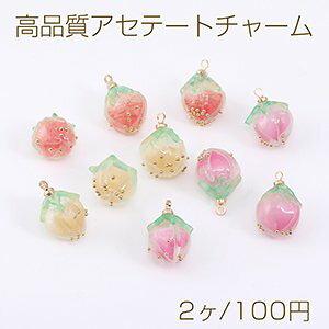 ̃t[`[ ڂ AZe[g Jt 10mm 1J S[hi2j