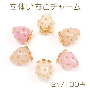 ̂`[ C`Sp[c {̎ S[hw^ \ʃp[ Jt 12×16mmi2j