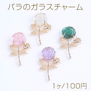 õKX`[ RlN^[`[ 2Jt t[ 24×42mm S[hi1j