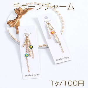 `F[`[ `F[^bZ KXr[Yt S[h