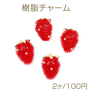 `[ `[  `[ C`S`[  |pi ANZT[p[c 18×24mm (2)