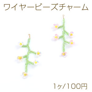 C[r[Y`[ t[ 24×48mmi1j