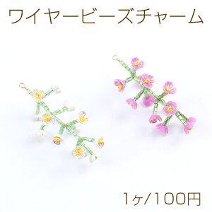 C[r[Y`[ t[ 23×50mmi1j