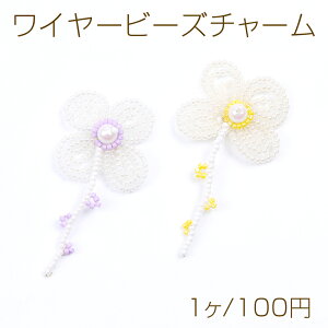 C[r[Y`[ t[ 29×60mmi1j