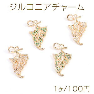 iWRjA`[ [t 13×25mm S[hi1j