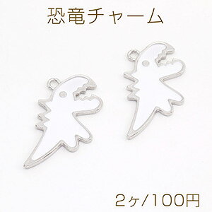 `[ G|`[ 9x15mm AeB[NVo[ zCgi2j