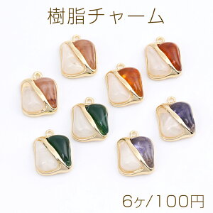 `[ ^`[ XNGA^`[ 13×17mm S[hi6j