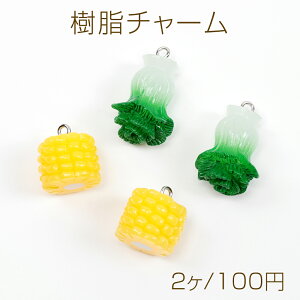 `[ `[p[c   R[ ANZT[p[c 18×27mmi2j