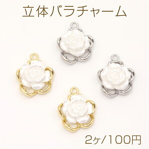 ̃o`[ KN`[ [Y`[ ^`[ t[`[t 1Jt 16×19mmi2j