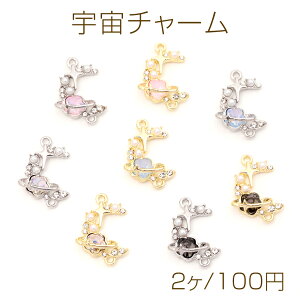 F`[ ƌ̃^`[ `[ KXXg[t 1Jt S8F 19×29mm i2Pj