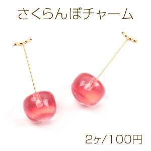 ڃ`[ ڃ`[ `F[`[  13×38mmi2j