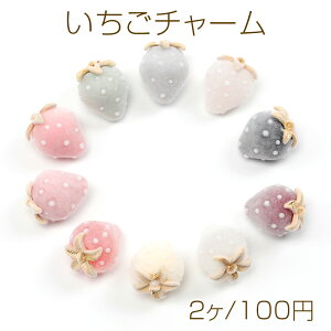 `[ tbL[  C`S`[ Xgx[`[ S10F 18×24mm (2)
