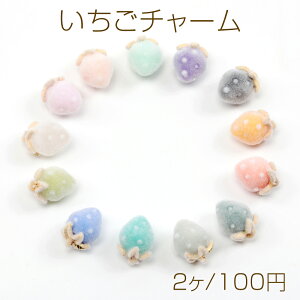 `[ tbL[  C`S`[ Xgx[`[ S13F 8×12mm (2)