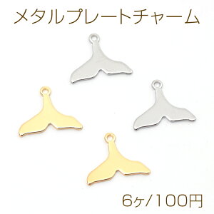 ^v[g`[  Ђ   ^p[c 1Jt 9×12mmi6j