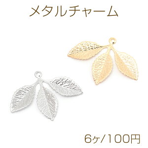 ^`[  [t t ^`[ ^p[c 1Jt 23×31mmi6j