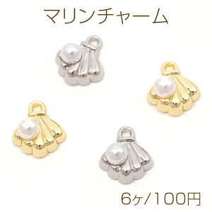 }`[ z^e L C ABSp[t ^`[ 10×11mmi6j