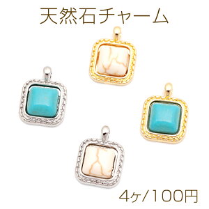 VR΃`[ ` XNGA ^[RCY ^`[ 10×13mmi4j