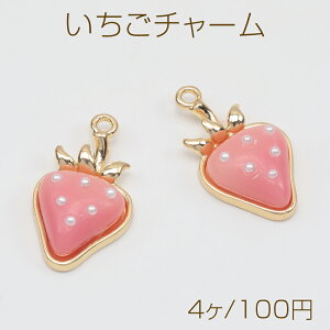 `[ C`S  t[c p[t  `[ ^`[ 14×24mmi4j