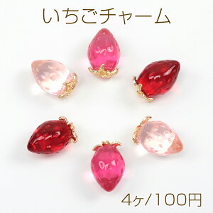 `[ NA䕃`[ C`S Xgx[ p[c t[c`[ 1J 12×19mmi4j