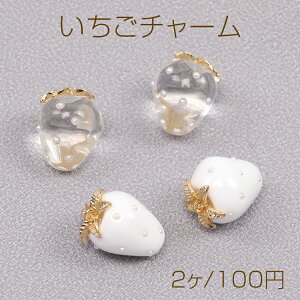 `[ C`S`[ 킢t[c`[ 䕃`[ p[t 14×18mmi2j