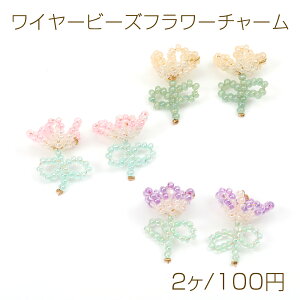 C[r[Yt[`[ 13×20mmi2j