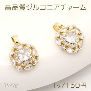 F򂹂ɂ14KGPS[hbL iWRjA`[ n[g^ XNGA^ o`Jti1j