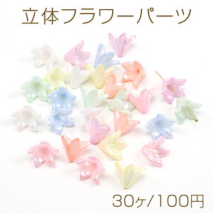 ���̃t�����[�p�[�c �A�N�����r�[�Y�L���b�v �t�����[�`���[�� �ԍ� ���ԃp�[�c �ܕى� ���S������ �I�[�����J���[ �~�b�N�X�J���[ 16mm�i30���j