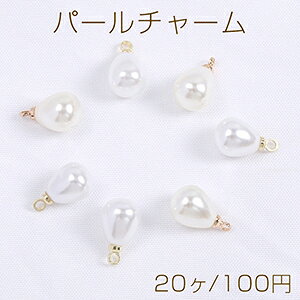 p[`[ ^ Jt 8×13mm S[hi20j