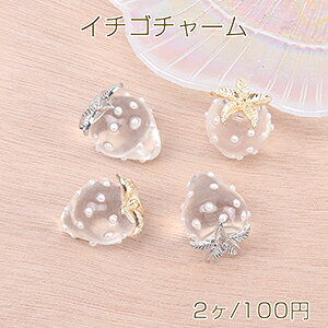 `[ C`S`[ 킢t[c`[  p[t 18×24mm NAi2j