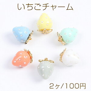 `[ pXeC`S`[ 킢t[c`[  p[t 12×16mmi2j