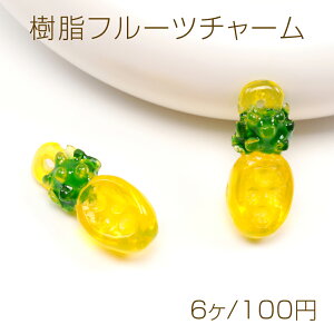 t[c`[ ~j`Aʕ`[ HiTv`[ pCibv`[t  6×15mmi6j