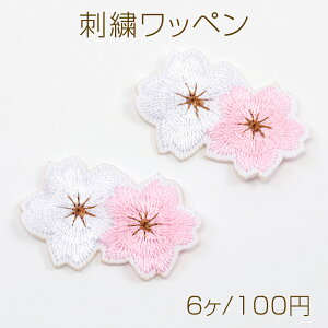 hJby ԃ`[t AbvP hJp[c e[vL[z_[ ߕ Xq C obOt (6)